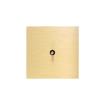 KNX Velocity Brushed Gold 1F